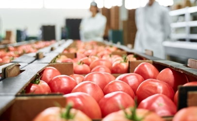 FSSC 22000 (Food Safety System Certification 22000)