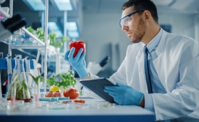 ISO 22000: Hệ thống quản lý an toàn thực phẩm