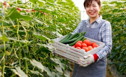 Tư vấn chuyên ngành sản phẩm nông nghiệp