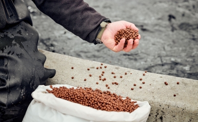 Tư vấn chuyên ngành thức ăn chăn nuôi